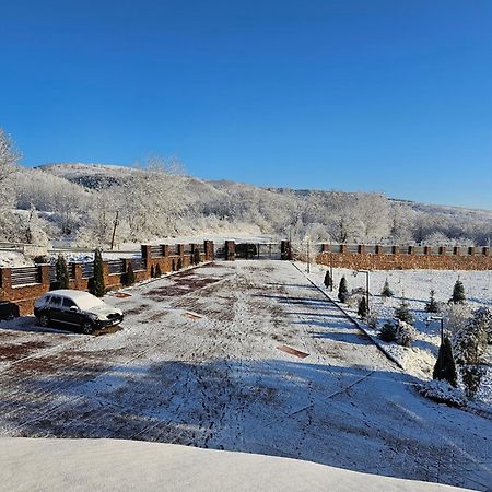 Crasmontana Konak Hotel Dragoiesti Bagian luar foto