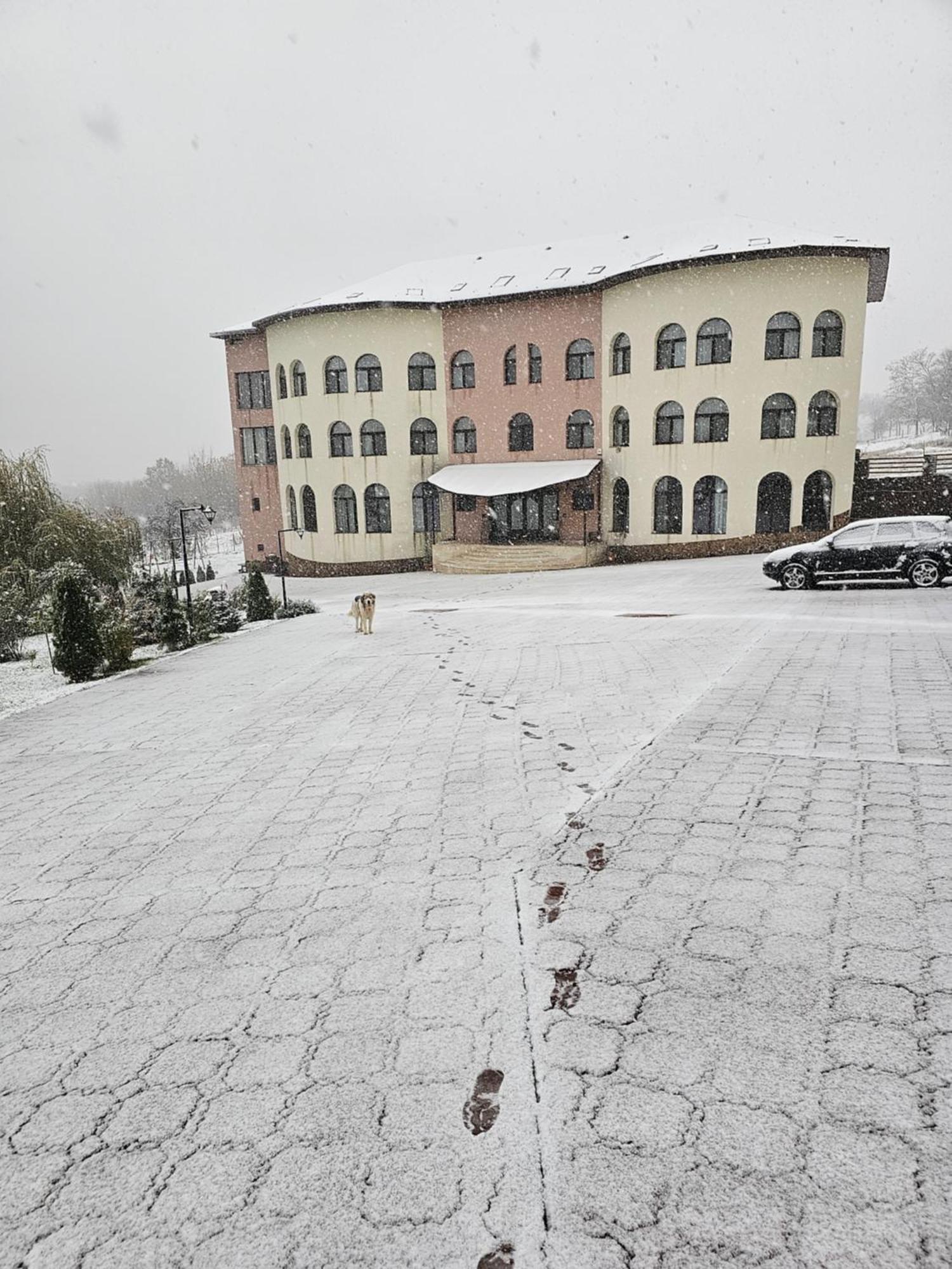 Crasmontana Konak Hotel Dragoiesti Bagian luar foto